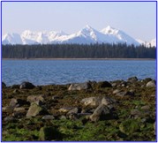 Picture2