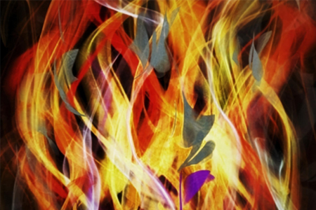 Celebrating At Home - Pentecost