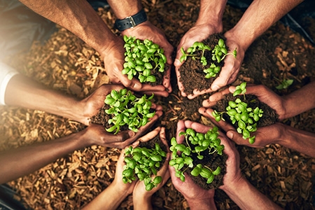 Laudato Si' Week 2021 Celebrations Around the Order